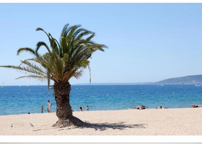 Magnifique 4 Pers A Pied Lejlighed Fréjus